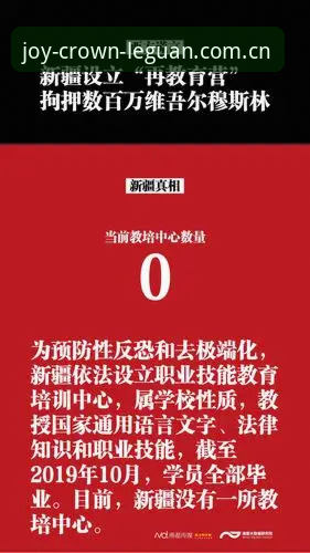 揭秘乐冠体育平台网页版登录背后的数据与体验真相